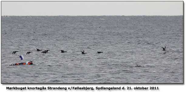 Afprvning af nyt obssted p Sydlangeland ved Fllesbjerg. Klik p navnet for at se hvor!