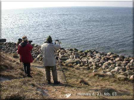 Bobakkerne, Helns Hans, Lilly og Niels p udkig efter Nordisk lappedykker