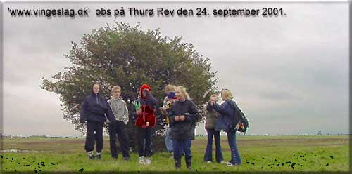 P obs p Thur rev den 24. september 2001 i forbindelse med undervisningsprojektet www.vingeslag.dk.