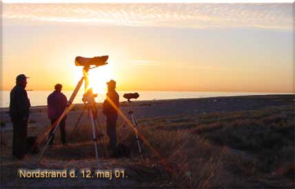 Nordstranden lrdag den 12. maj 2001. kl  5.30