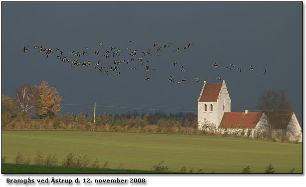 Flokken af Bramgs foran strup kirke