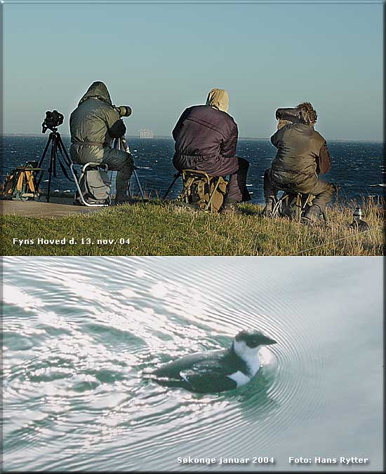 Fyns Hoved d. 13. november 2004