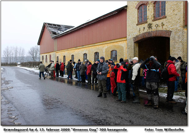 300 besgende i "bningstiden" - desvrre ingen rne p det tidspunkt. Foto: Tom Willestofte