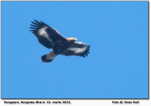 Kongern 2 K over Borgns, r. Foto : Sven Dall