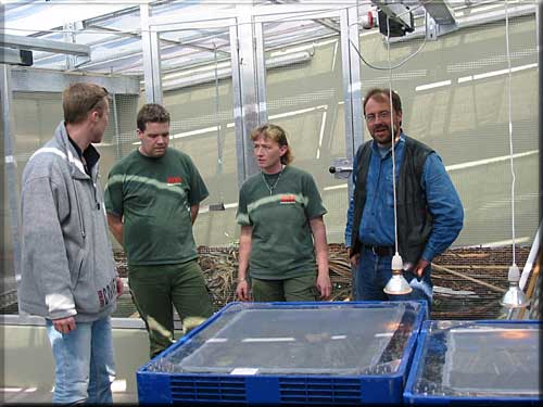 Michael Lgstrup, Jesper Jacobsen, Lene Vestergren Rasmussen og Lars Briggs.Foto: Kurt Jrgensen