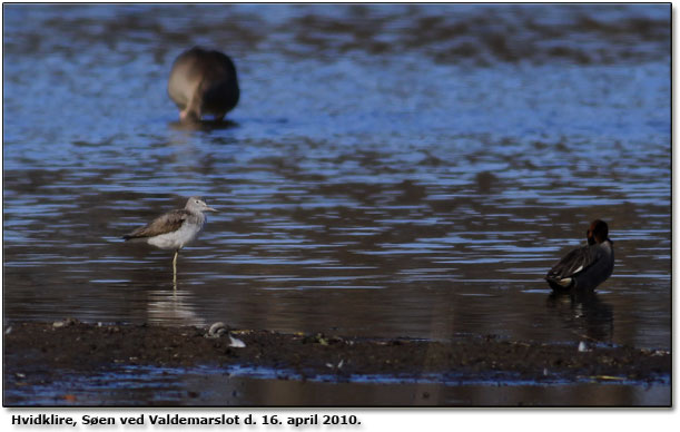 Hvidklire Sen ved Valdemarslot