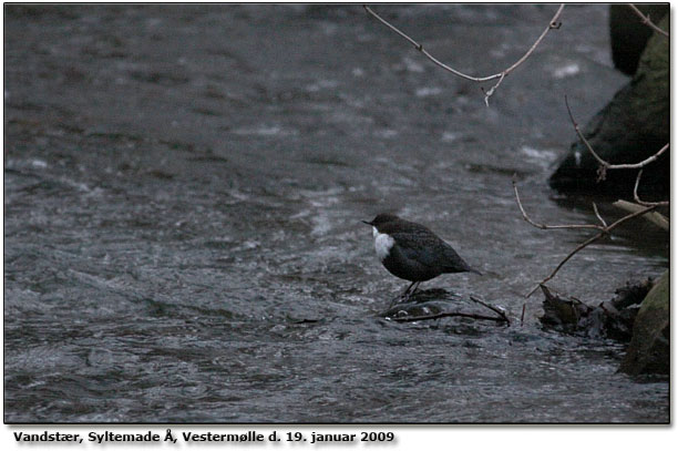 Vandstr, Syltemade  ved Vestermlle