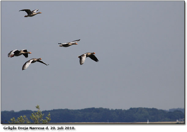 Grgs indflyvning til Nrres, Drej