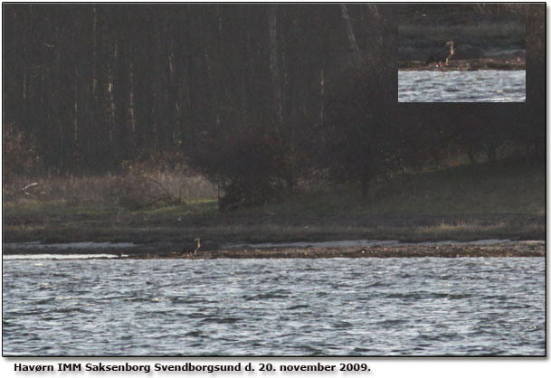 Havrn p Saksenborg fotograferet fra Fynsiden - ca 1 km