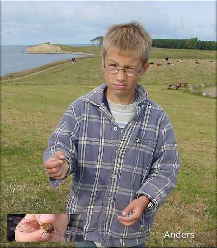 Anders fangede insekter ved Dovns Klint og lod dem flyve igen :-)