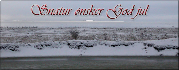 God Jul                                                                                                                                                                                       (Strynø Kalv set fra Monnet)