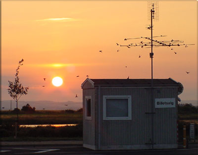 Digesvalerne bruger Billetskuret ved Bøjden færgehavn, torsdag den 26. juli 2001. 