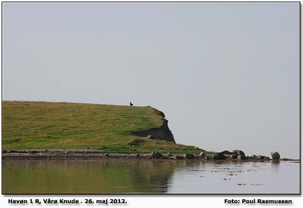 Kaptajnen Poul ser dette syn efter morgenbadet ;-) Foto: Poul Rasmussen