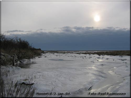 Monnet, Foto: Poul Rasmussen