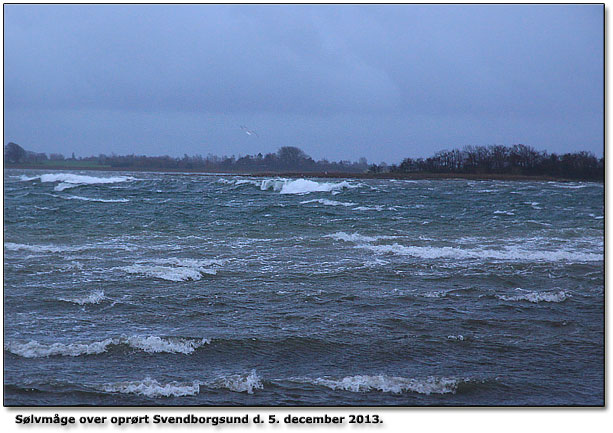 Svendborgsund under "Bodil"