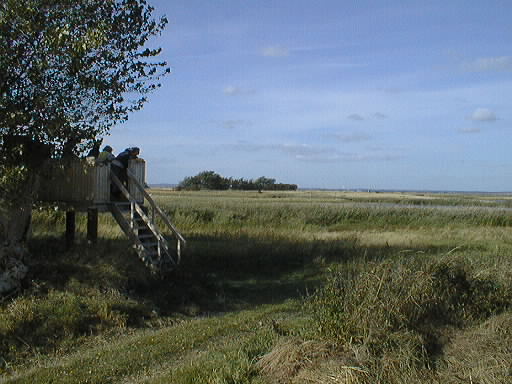 Fugletrnet ved Nrres, DREJ. Indviet 1. juni 1997. 45 KB (Foto 20/9-97)