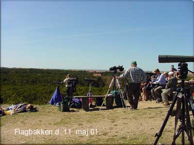 Flagbakken den 11. maj 01. 