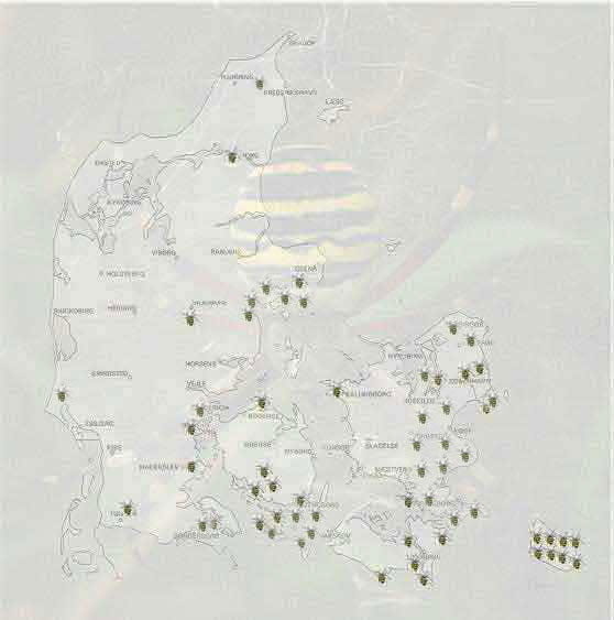 Argiope bruenniche Hvepseedderkoppen i Danmark efterret 2001. Nogle af de sm edderkopper er link til artikler p Nettet.